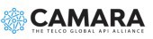 Camara logo